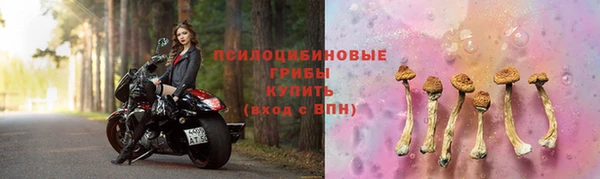 apvp Лихославль