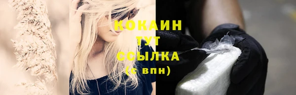 тгк Лиски
