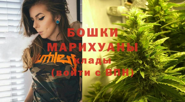 тгк Лиски