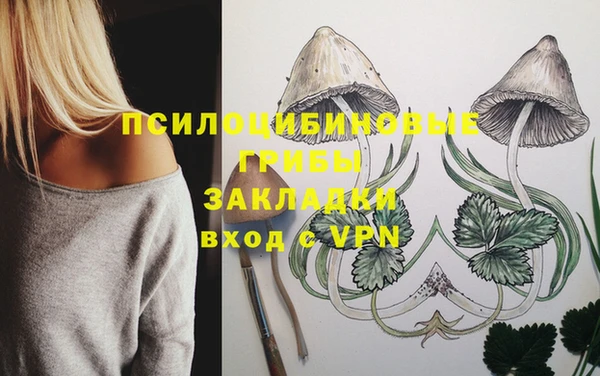 тгк Лиски