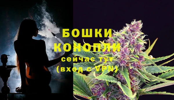 apvp Лихославль